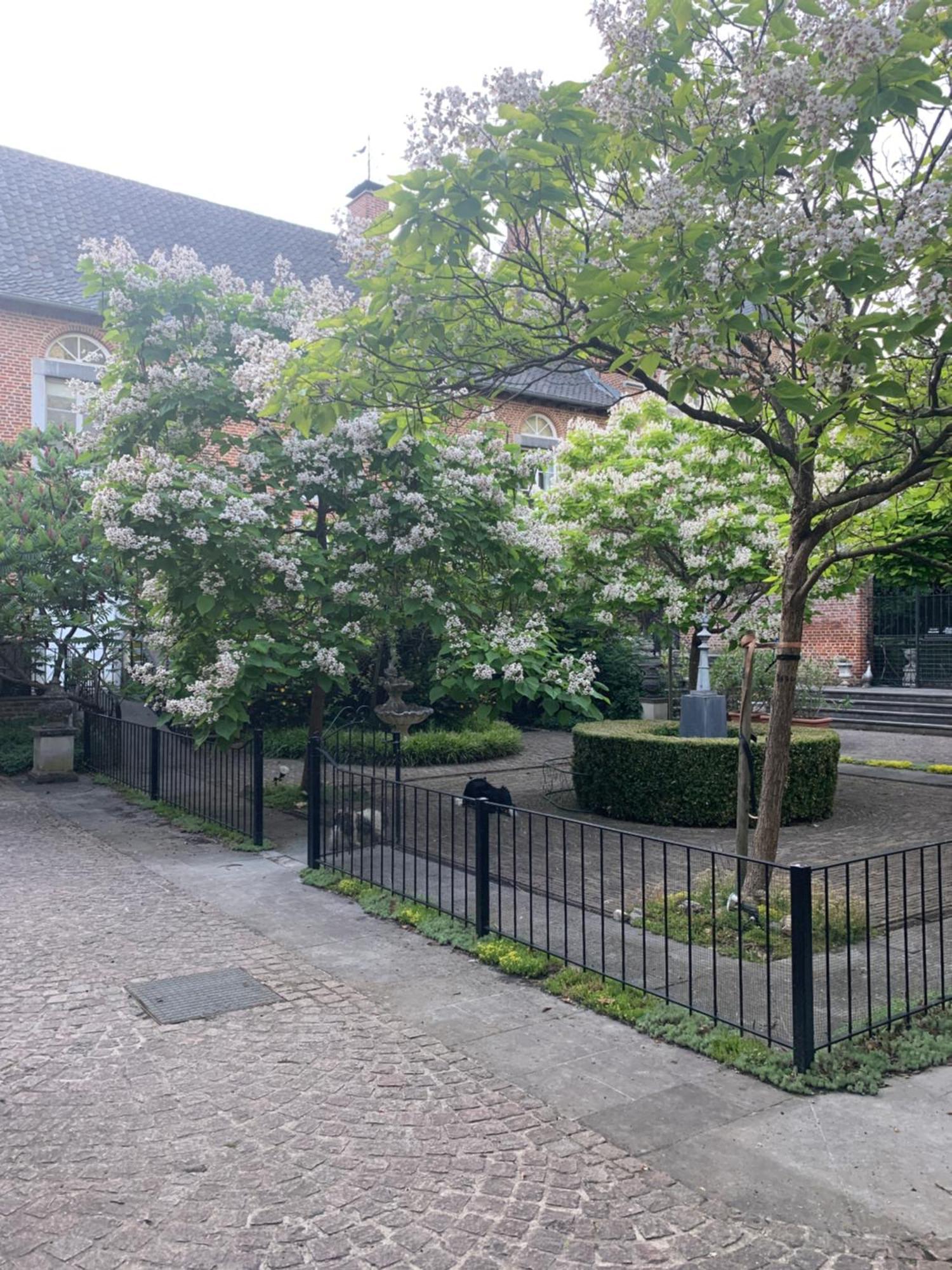 Heers Vakantie Huizen De Heerlijkheid Satenbergh 빌라 외부 사진